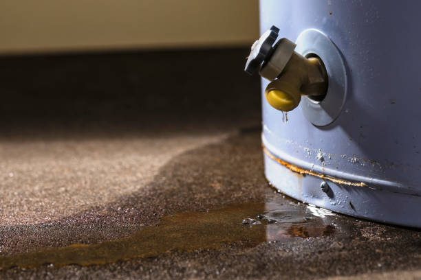Best Water damage restoration process  in Kulpmont, PA