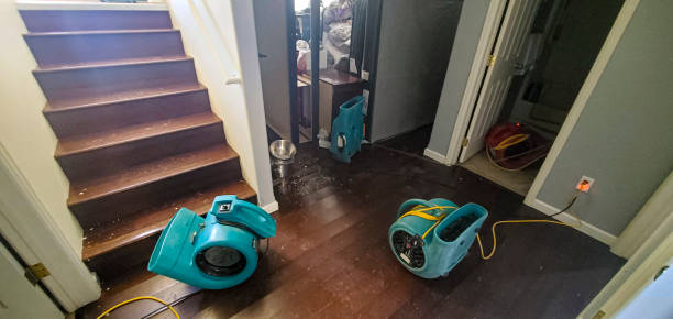 Best Flood restoration services  in Kulpmont, PA