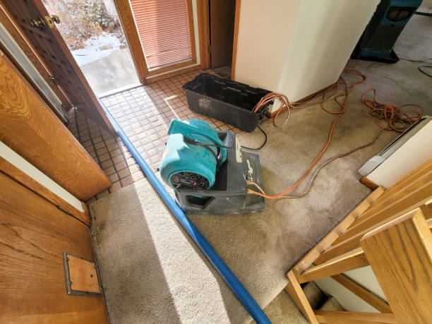Best Water damage cleanup near me  in Kulpmont, PA