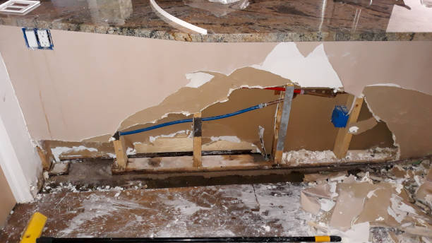 Best Flood restoration services  in Kulpmont, PA