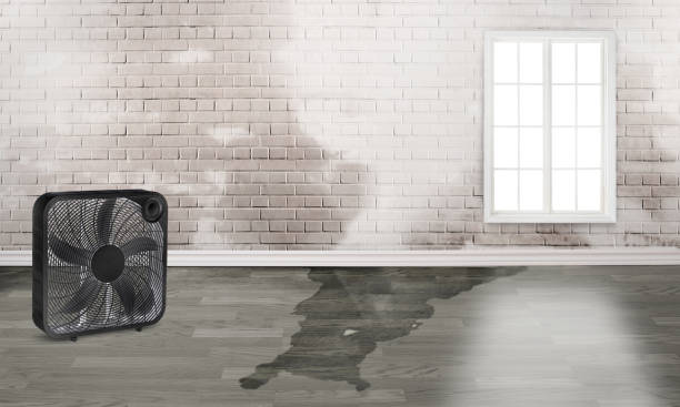 Best Residential water damage restoration  in Kulpmont, PA