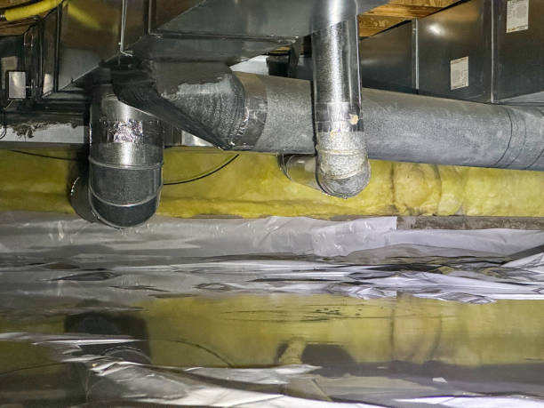 Best 24-hour water damage restoration  in Kulpmont, PA