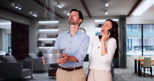 Best Water damage restoration specialists  in Kulpmont, PA